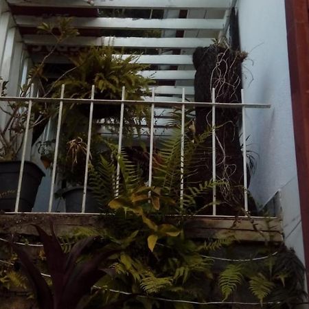 Hostel Mdemarilia Nova Friburgo Bagian luar foto